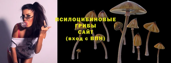 прущая мука Козловка