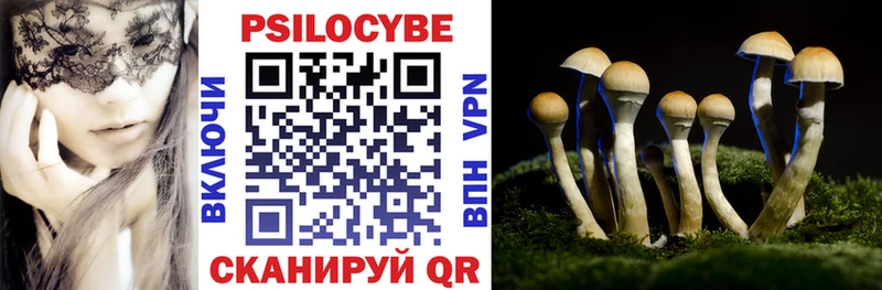 купить   Каспийск  Псилоцибиновые грибы прущие грибы 